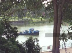 The Riverine By The Park (D12), Apartment #111391462